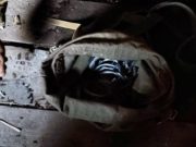 Браконьеры с опасными ловушками устроили охоту на кабаргу в Шавлинском заказнике Браконьеры с опасными ловушками устроили охоту на кабаргу в Шавлинском заказнике