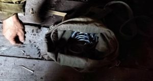 Браконьеры с опасными ловушками устроили охоту на кабаргу в Шавлинском заказнике