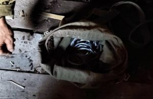 Браконьеры с опасными ловушками устроили охоту на кабаргу в Шавлинском заказнике