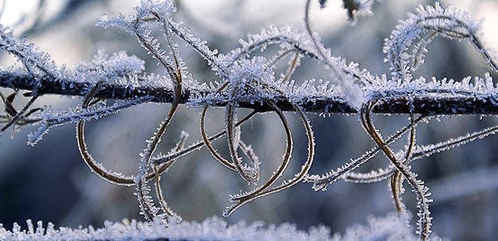 Аномальные морозы сохраняются на Алтае: объявлено штормовое предупреждение