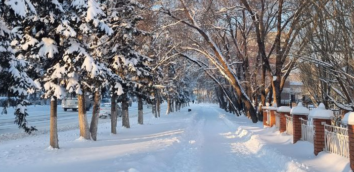 Прогноз погоды: «температурные качели» продолжаются
