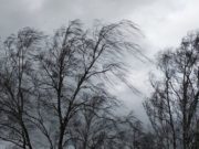 На Алтае объявлено штормовое предупреждение