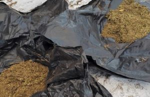 В Усть-Коксинском районе мужчина хранил у себя дома почти 1,5 кг марихуаны