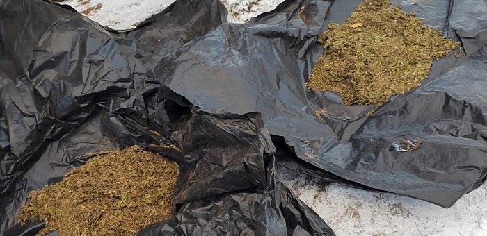 В Усть-Коксинском районе мужчина хранил у себя дома почти 1,5 кг марихуаны