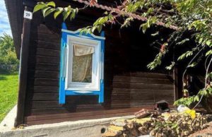 В Горно-Алтайске 85-летний мужчина убил приятеля после пьянки В Горно-Алтайске 85-летний мужчина убил приятеля после пьянки