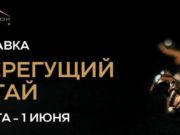 Выставка «Стерегущий Алтай» откроется на курорте «Манжерок»