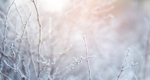 На Алтае объявлено штормовое предупреждение из-за морозов
