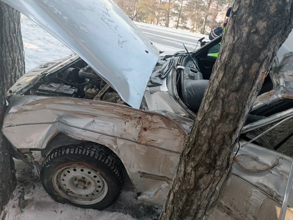 «Волга» влетела в дерево на въезде в Элекмонар