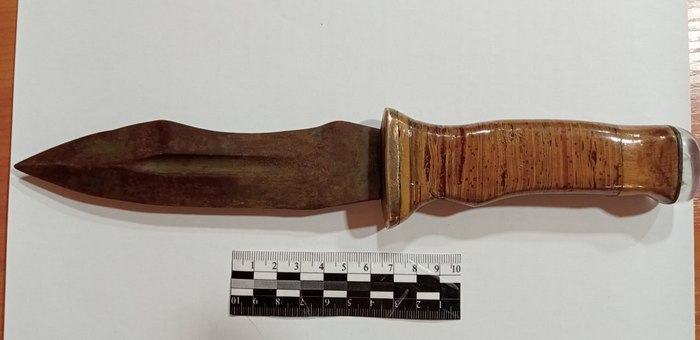 Житель Бийки отправится в колонию за убийство собутыльника