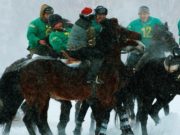 Соревнования по Кок бору прошли в Шебалино Соревнования по Кок бору прошли в Шебалино