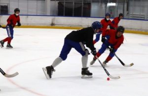 Турнир по хоккею с мячом памяти Евгения Корчагина прошел в Республике Алтай