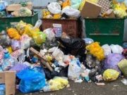 В Республике Алтай запустят переработку мусора В Республике Алтай запустят переработку мусора