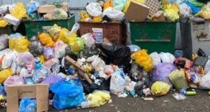В Республике Алтай запустят переработку мусора