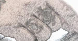 Шебалинца арестовали на пять суток за пропаганду АУЕ Шебалинца арестовали на пять суток за пропаганду АУЕ
