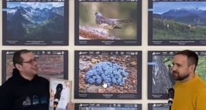 Названы победители конкурса «Живая природа Алтая» Названы победители конкурса «Живая природа Алтая»