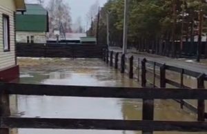 В Чемале введен режим повышенной готовности из-за угрозы подтопления В Чемале введен режим повышенной готовности из-за угрозы подтопления
