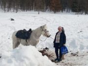 На Алтае более 500 человек досрочно проголосовали на выборах президента РФ На Алтае более 500 человек досрочно проголосовали на выборах президента РФ