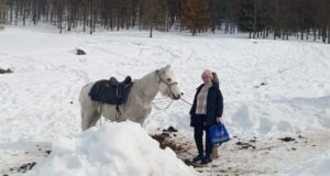 На Алтае более 500 человек досрочно проголосовали на выборах президента РФ