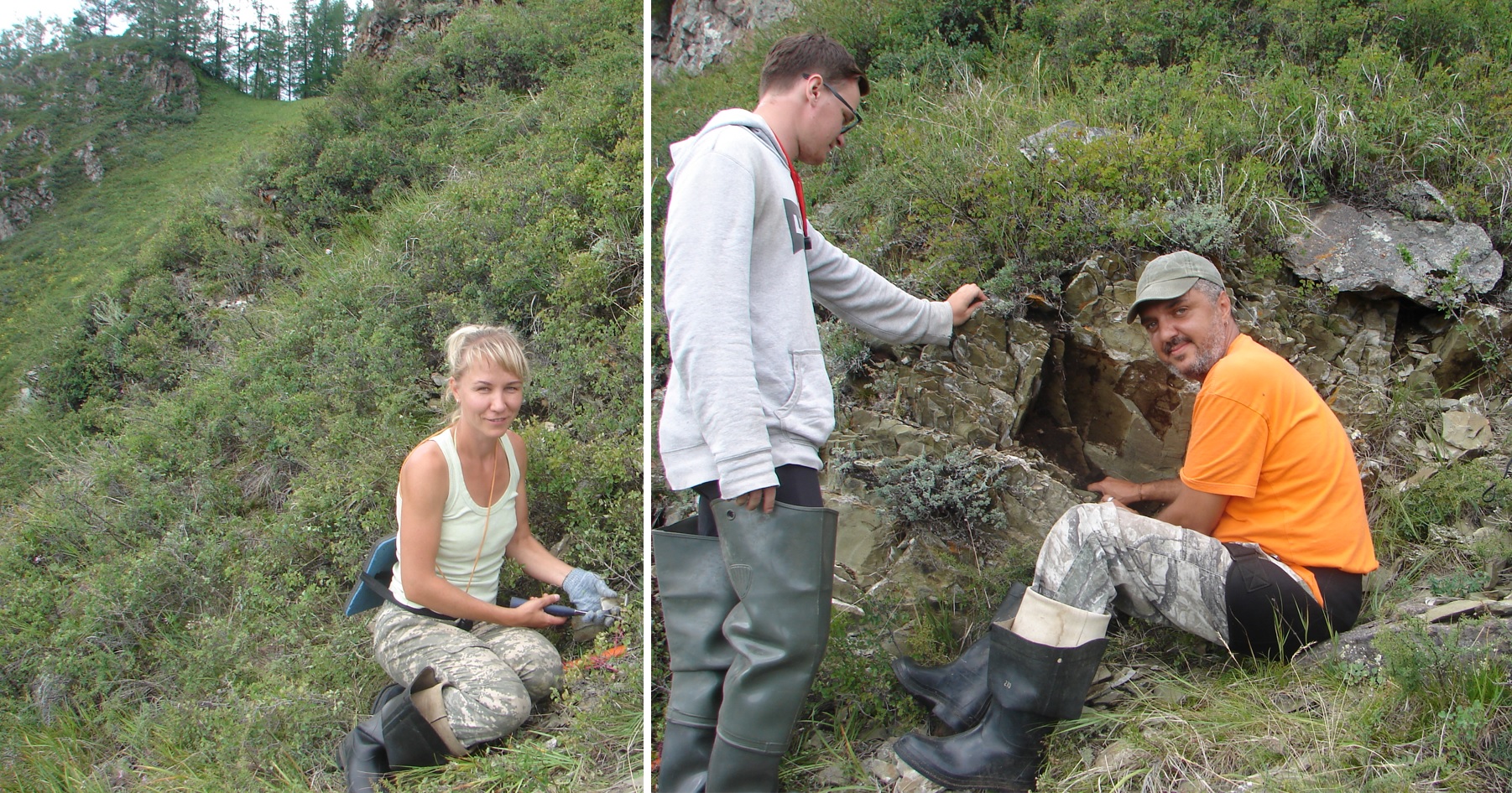 На Алтае нашли ископаемых обитателей древнего моря 