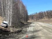 Пьяный водитель без прав врезался в дерево возле Малой Черги Пьяный водитель без прав врезался в дерево возле Малой Черги