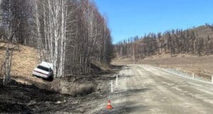 Пьяный водитель без прав врезался в дерево возле Малой Черги