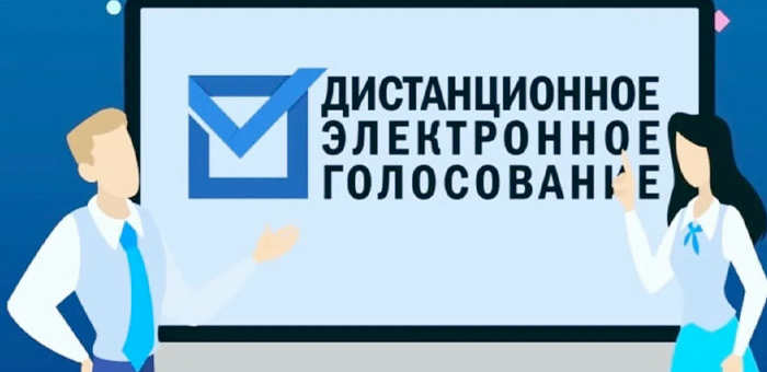 На выборах главы и депутатов можно будет проголосовать через интернет
