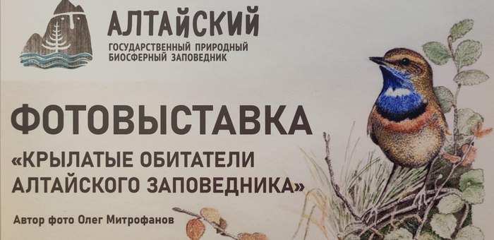 В Горно-Алтайске открылась выставка, приуроченная ко Всемирному дню птиц