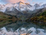 Объявлен фотоконкурс «Живая природа Алтая» Фотоконкурс «Живая природа Алтая» пройдет в регионе