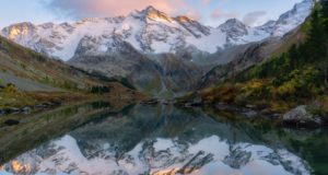 Фотоконкурс «Живая природа Алтая» пройдет в регионе