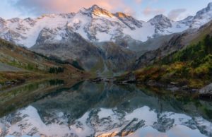 Объявлен фотоконкурс «Живая природа Алтая» Фотоконкурс «Живая природа Алтая» пройдет в регионе