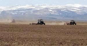 Аграрии Республики Алтай готовятся к весенне-полевым работам