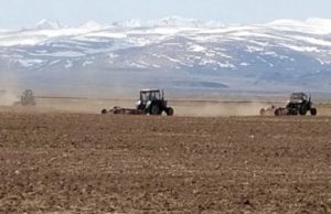 Аграрии Республики Алтай готовятся к весенне-полевым работам