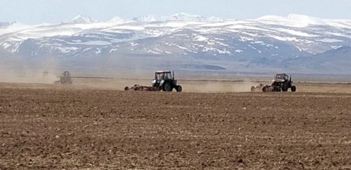 Аграрии Республики Алтай готовятся к весенне-полевым работам