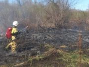 Травяной пожар произошел в Горно-Алтайске Травяной пожар произошел в Горно-Алтайске