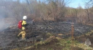 Травяной пожар произошел в Горно-Алтайске