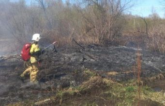 Травяной пожар произошел в Горно-Алтайске