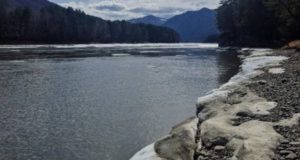В районе Соузги заметили подростка, который решил поплавать на льдине по Катуни