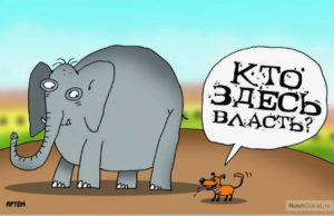 Если нет реальных дел – не спасет пиар-отдел: независимые готовятся к выборам?