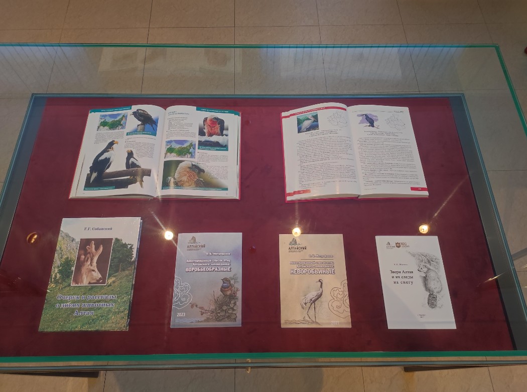 В Горно-Алтайске открылась выставка, приуроченная ко Всемирному дню птиц