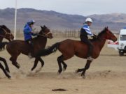Традиционный турнир по конным скачкам прошел в Кош-Агаче