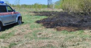 Травяной пожар произошел в Горно-Алтайске