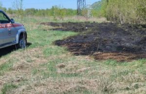 Травяной пожар произошел в Горно-Алтайске Травяной пожар произошел в Горно-Алтайске