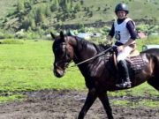 Соревнования по конному спорту прошли в Горно-Алтайске Соревнования по конному спорту прошли в Горно-Алтайске