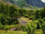 Растет уровень воды в Семе около Шебалино