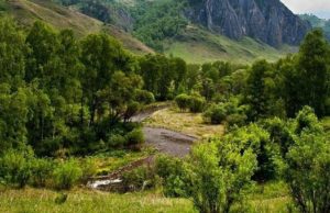 Растет уровень воды в Семе около Шебалино Растет уровень воды в Семе около Шебалино
