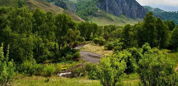 Растет уровень воды в Семе около Шебалино