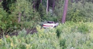 У Паспаула «Тойота» сбила лошадь, пострадал водитель У Паспаула «Тойота» сбила лошадь, пострадал водитель