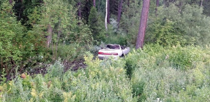 У Паспаула «Тойота» сбила лошадь, пострадал водитель