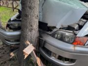 В Усть-Коксе женщина на «Тойоте» протаранила забор и врезалась в дерево