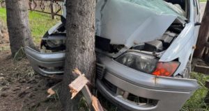 В Усть-Коксе женщина на «Тойоте» протаранила забор и врезалась в дерево В Усть-Коксе женщина на «Тойоте» протаранила забор и врезалась в дерево